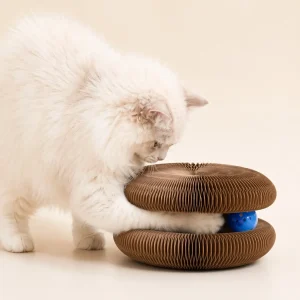 Grattoir interactif chat - Papier ondulé durable